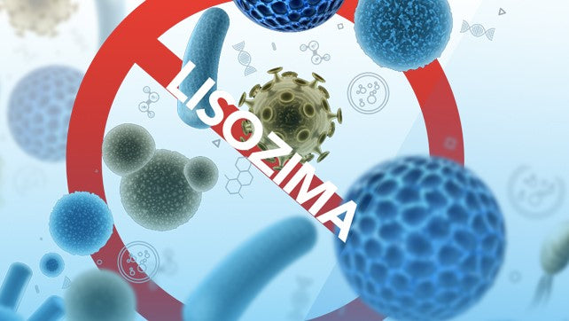 Lisozima e sistema immunitario: esiste un rapporto correlato con il Coronavirus? | Dott. Marco Guercioni