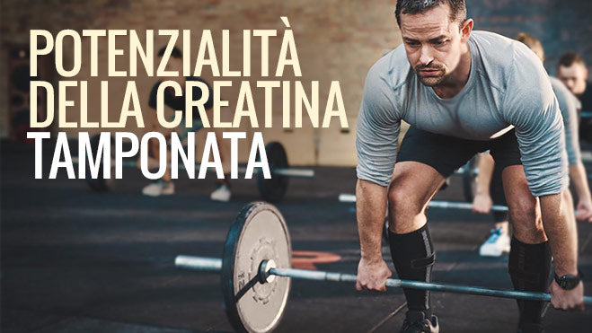 CREATINA MONOIDRATO VS KRE-ALKALYN: DIFFERENZE, ASSUNZIONE, EFFICACIA