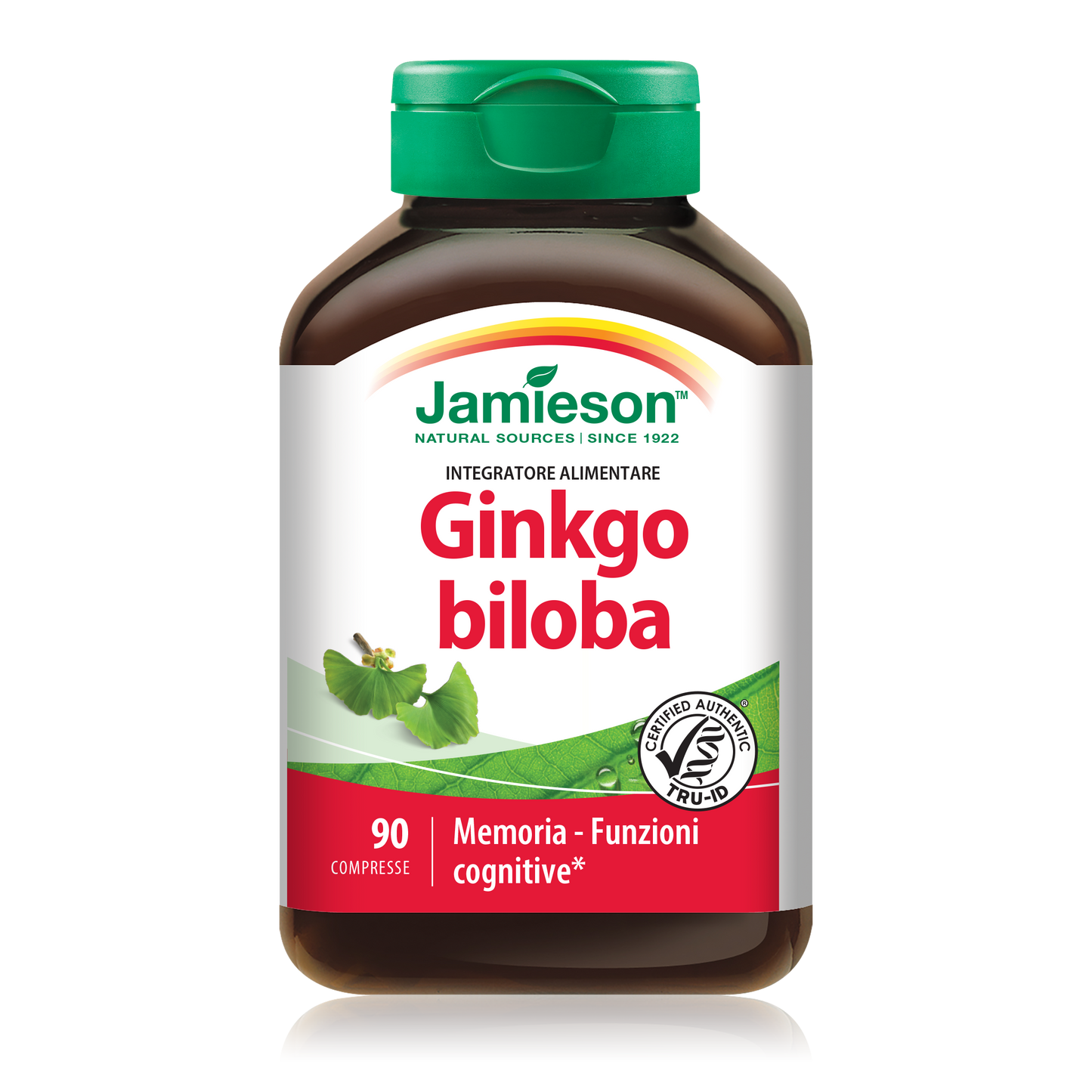 Ginkgo Biloba 90 cpr