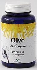 OLIVO 60CPS