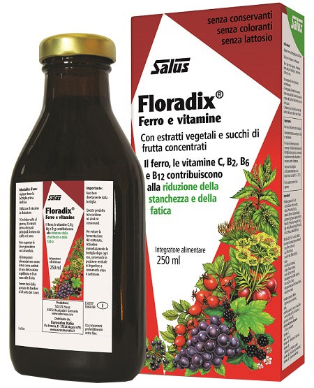 Floradix 250ml