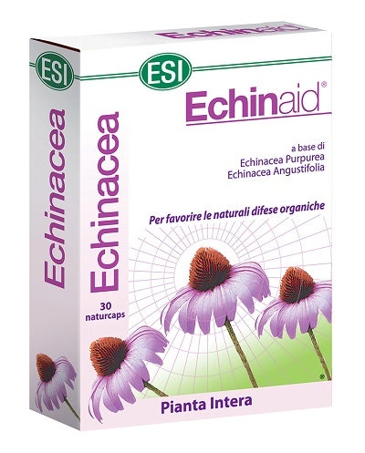 Echinaid 30 Capsule