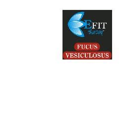 FUCUS VESICULOSUS EF 30ML