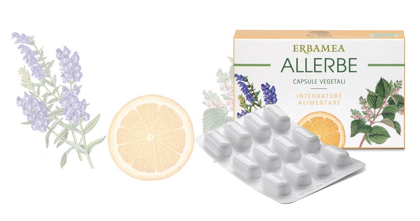 Erbamea Allerbe 24 Capsule