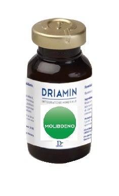 DRIAMIN MOLIBDENO 15ML