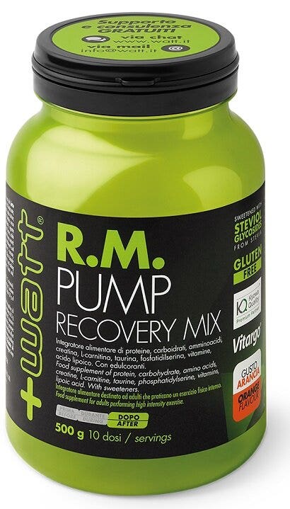 RM Pump Recovery Mix Arancia 500g