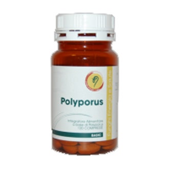 POLYPORUS LINEA BASIC 120CPR