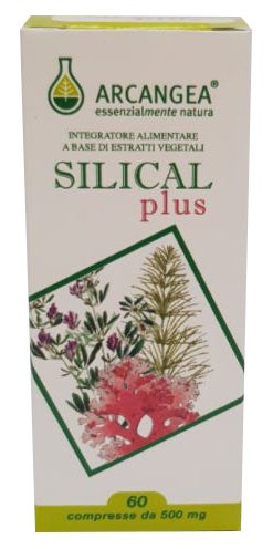 SILICAL PLUS 60CPR