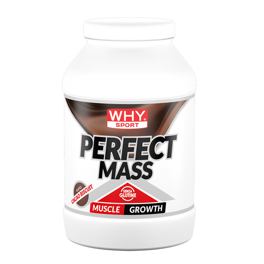 Perfect Mass 1,6 kg