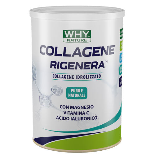 Collagene Rigenera 330 g